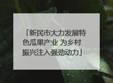 新民市大力发展特色瓜果产业 为乡村振兴注入强劲动力