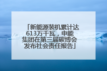 新能源装机累计达613万千瓦，申能集团在第三届碳博会发布社会责任报告