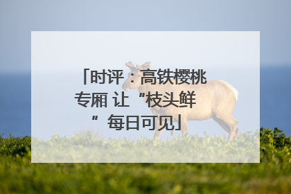 时评：高铁樱桃专厢 让“枝头鲜”每日可见