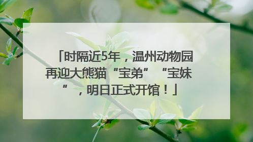 时隔近5年，温州动物园再迎大熊猫“宝弟”“宝妹”，明日正式开馆！