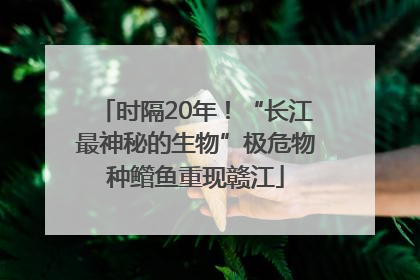 时隔20年！“长江最神秘的生物”极危物种鳤鱼重现赣江