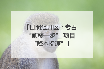 日照经开区：考古“前移一步” 项目“降本提速”