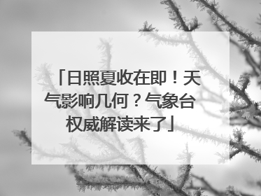 日照夏收在即！天气影响几何？气象台权威解读来了