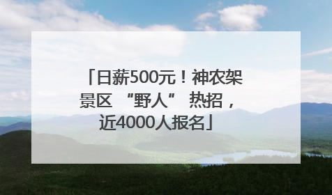 日薪500元！神农架景区 “野人” 热招，近4000人报名