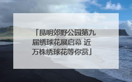 昆明郊野公园第九届绣球花展启幕 近万株绣球花等你赏
