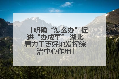 明确“怎么办”促进“办成事” 湖北着力于更好地发挥综治中心作用