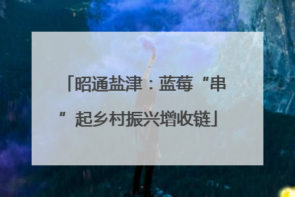 昭通盐津：蓝莓“串”起乡村振兴增收链