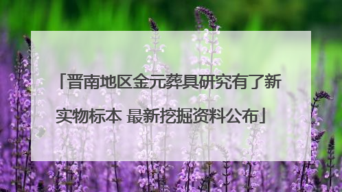 晋南地区金元葬具研究有了新实物标本 最新挖掘资料公布