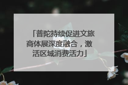 普陀持续促进文旅商体展深度融合，激活区域消费活力