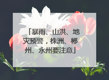 暴雨、山洪、地灾预警，株洲、郴州、永州要注意