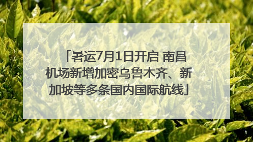 暑运7月1日开启 南昌机场新增加密乌鲁木齐、新加坡等多条国内国际航线