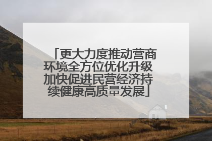 更大力度推动营商环境全方位优化升级加快促进民营经济持续健康高质量发展