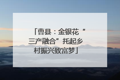 曹县：金银花“三产融合”托起乡村振兴致富梦