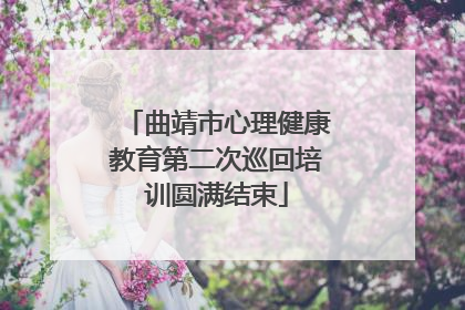 曲靖市心理健康教育第二次巡回培训圆满结束