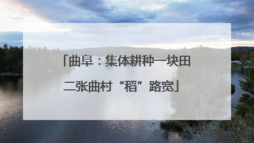 曲阜：集体耕种一块田 二张曲村“稻”路宽