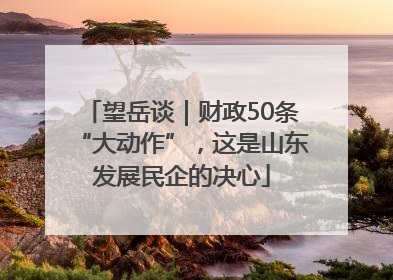 望岳谈｜财政50条“大动作”，这是山东发展民企的决心