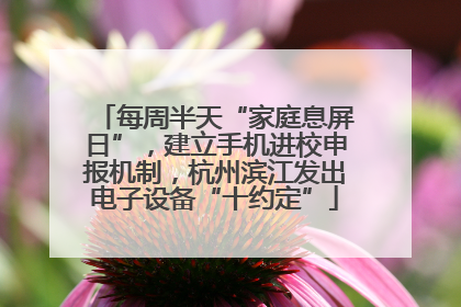 每周半天“家庭息屏日”，建立手机进校申报机制，杭州滨江发出电子设备“十约定”