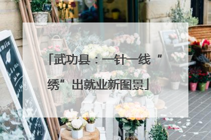 武功县：一针一线“绣”出就业新图景