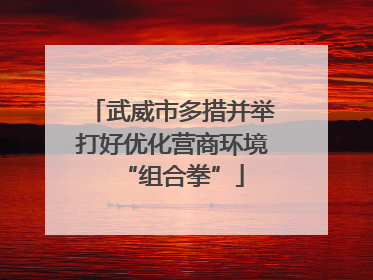 武威市多措并举打好优化营商环境“组合拳”