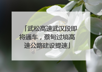 武松高速武汉段即将通车，蔡甸过境高速公路建设提速