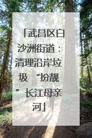 武昌区白沙洲街道：清理沿岸垃圾 “扮靓”长江母亲河