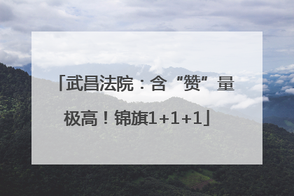 武昌法院：含“赞”量极高！锦旗1+1+1