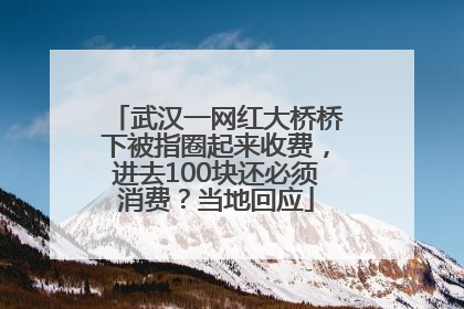 武汉一网红大桥桥下被指圈起来收费，进去100块还必须消费？当地回应