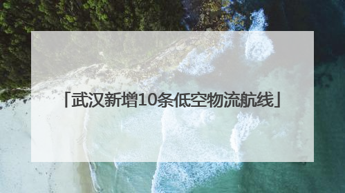 武汉新增10条低空物流航线