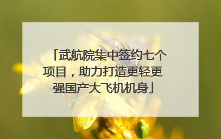 武航院集中签约七个项目，助力打造更轻更强国产大飞机机身