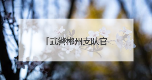 武警郴州支队官兵带着家乡味的粽子看望退伍老兵
