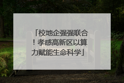 校地企强强联合！孝感高新区以算力赋能生命科学