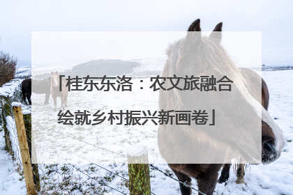 桂东东洛：农文旅融合绘就乡村振兴新画卷