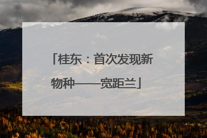 桂东：首次发现新物种——宽距兰