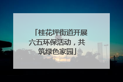 桂花坪街道开展六五环保活动，共筑绿色家园