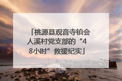 桃源县观音寺镇会人溪村党支部的“48小时”救援纪实