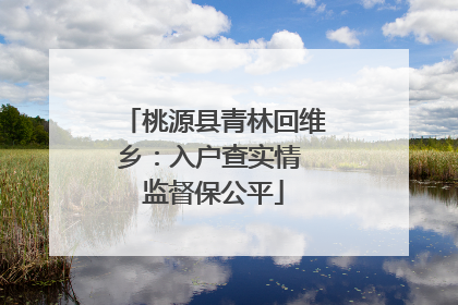 桃源县青林回维乡：入户查实情 监督保公平