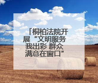 桐柏法院开展“文明服务我出彩 群众满意在窗口”活动