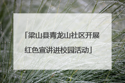 梁山县青龙山社区开展红色宣讲进校园活动