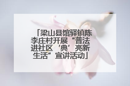 梁山县馆驿镇陈李庄村开展“普法进社区‘典’亮新生活”宣讲活动