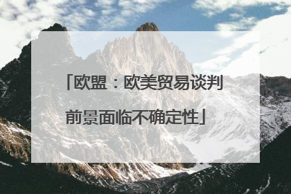 欧盟：欧美贸易谈判前景面临不确定性