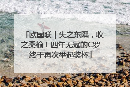 欧国联｜失之东隅，收之桑榆！四年无冠的C罗终于再次举起奖杯