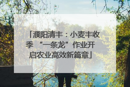 濮阳清丰：小麦丰收季 “一条龙”作业开启农业高效新篇章