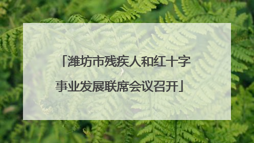 潍坊市残疾人和红十字事业发展联席会议召开