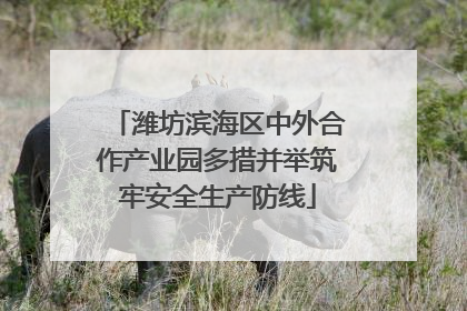 潍坊滨海区中外合作产业园多措并举筑牢安全生产防线