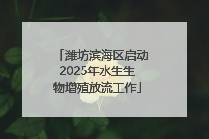 潍坊滨海区启动2025年水生生物增殖放流工作
