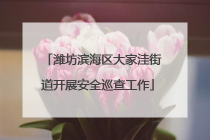 潍坊滨海区大家洼街道开展安全巡查工作
