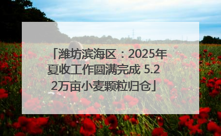 潍坊滨海区：2025年夏收工作圆满完成 5.22万亩小麦颗粒归仓