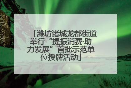 潍坊诸城龙都街道举行“提振消费·助力发展”首批示范单位授牌活动