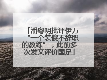潘粤明批评伊万“一个装傻不辞职的教练”，此前多次发文评价国足