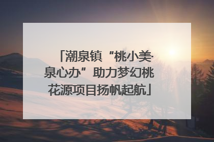 潮泉镇“桃小美·泉心办”助力梦幻桃花源项目扬帆起航